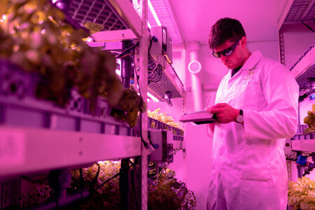 Scientist Checking Crops in Greenhouse by This Is Engineering